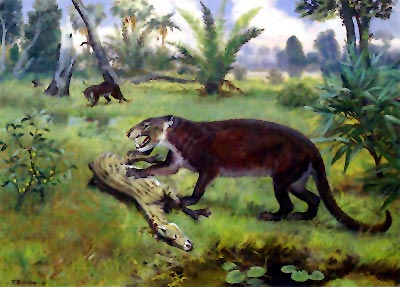 Savci z paleocénu až eocénu Severní Ameriky a Asie: masožravý savec Hyaenodonta (Oxyaena) ulovil koníka Prissodactyla (Hyracotherium). Rekonstrukce Z. Špinara a Z. Buriana