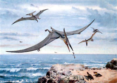 Ptakoještěři ze svrchní křídy: pterodaktylus (Pteranodon). Rekonstrukce Z. Špinara a Z. Buriana