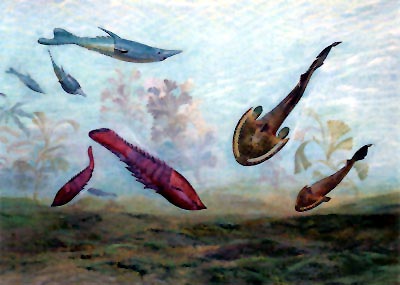 Život v prvohorních řekách: bezčelistní (vlevo nahoře Pteraspis rostrata, dole Poraspis polaris),  Rekonstrukce Z. Špinara a Z. Buriana.