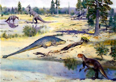 Veleještěři z Gobi: ptakopánví (nahoře Saurolophus angustirostris, uprostřed Syrmosaurus viminicaudus, vpravo dole Psittacosaurus). Rekonstrukce Z. Špinara a Z. Buriana